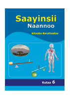 Grade 6 ST.pdf